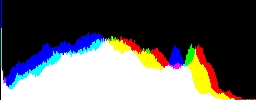 Histogram